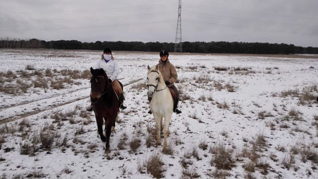 Sobre la nieve
